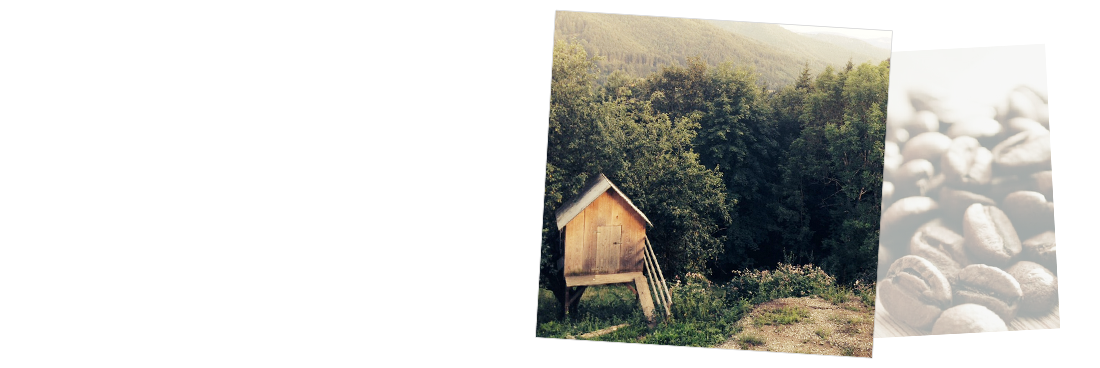 More than a shed